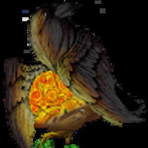 Meet your Posher, Neri